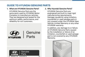 2022 Hyundai Elantra Owners Manual